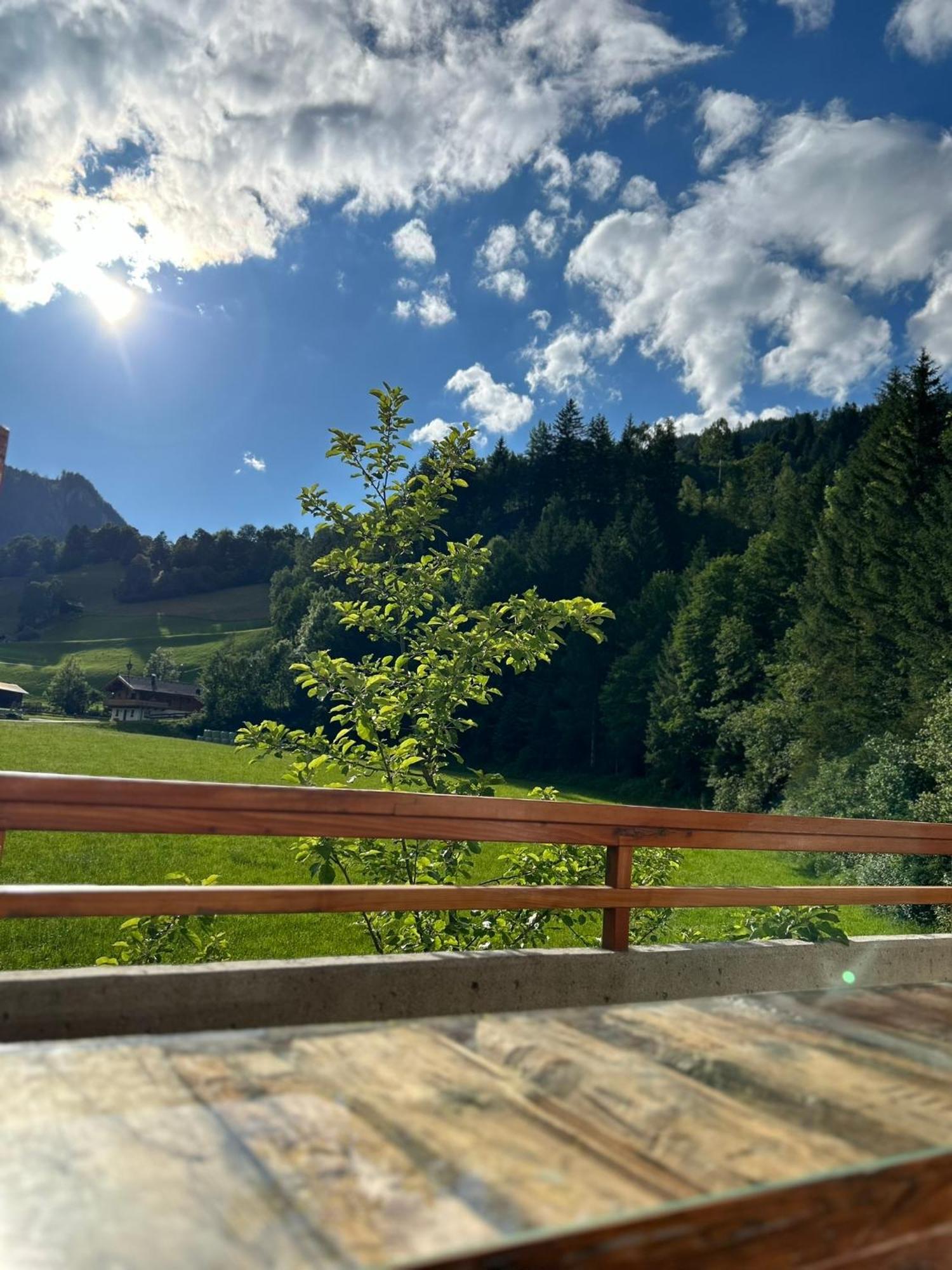 Bergblick Apartment Wald im Pinzgau Exteriér fotografie